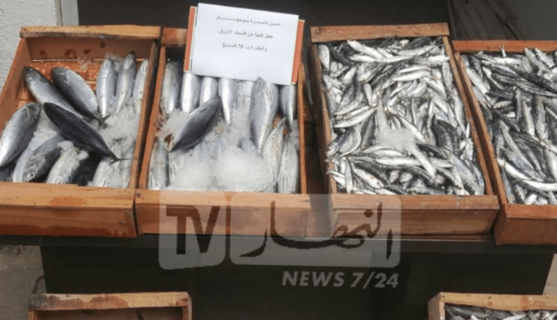 وزير الصيد البحري: انشاء آلية لضبط أسعار الأسماك