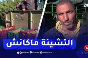 تراجع في منتوج الحمضيات.. والأسعار عند مستوى ال 150 دج للكيلوغرام بالشلف