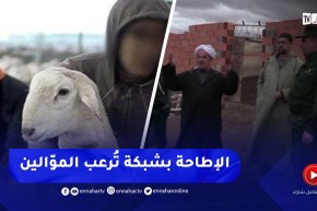 درك فرندة بتيارت يسترجع 88 رأس من الماشية ويطيح بشبكات أرعبت الموالين