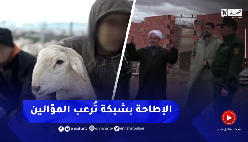 درك فرندة بتيارت يسترجع 88 رأس من الماشية ويطيح بشبكات أرعبت الموالين