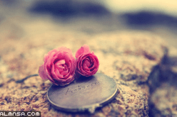 إلى كل من ضاقت به.. إليك ما يلي..