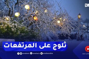 ثلوج وأمطار على المناطق الشمالية.. التفاصيل