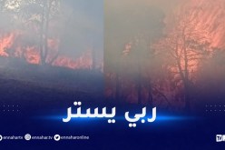 إندلاع حريق غابة بالمرسى طريق مستغانم