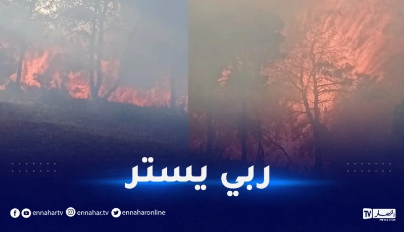 إندلاع حريق غابة بالمرسى طريق مستغانم