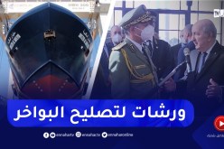 “رئيس الجمهورية :” نفضّل إنشاء ورشات لتصليح البواخر في أقرب وقت خاصة بواخر المسافرين