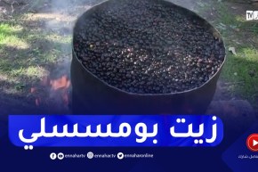 سكيكدة : زيت بومسسلي مذاق مميز و طريقة خاصة في تحضيره