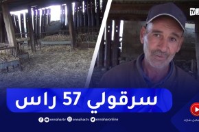 سكيكدة : عودة ظاهرة سرقة المواشي بالجهة الغربية من الولاية