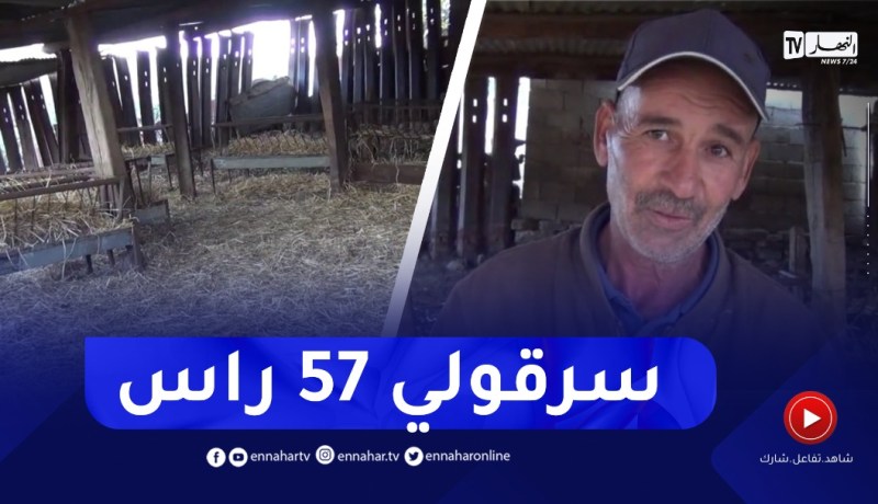 سكيكدة : عودة ظاهرة سرقة المواشي بالجهة الغربية من الولاية