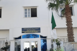 المنصة الرقمية للمستثمر: تسجيل 233 مشروعا
