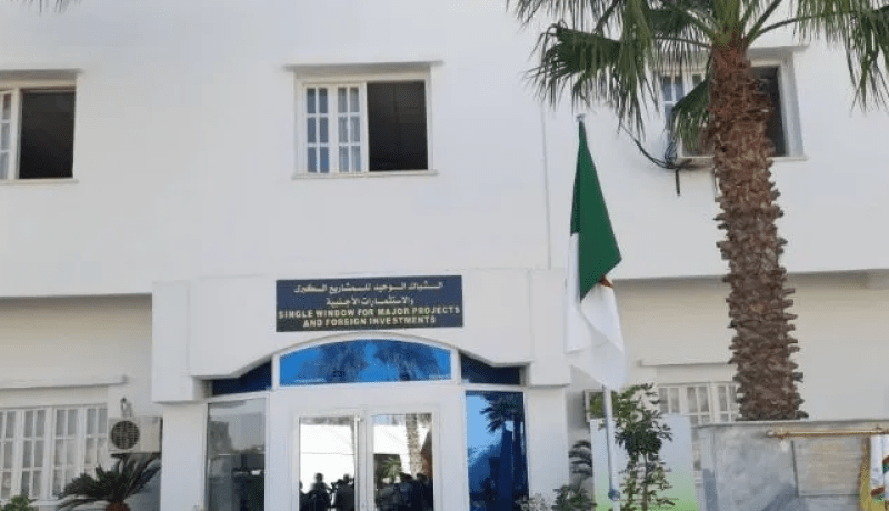 المنصة الرقمية للمستثمر: تسجيل 233 مشروعا
