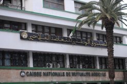 صندوق التعاضد الفلاحي يطلق تعويضات لزبائن الصناعيين عند تسجيل خسائر بالمردود