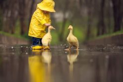 همسة من القلب وإلى القلب