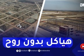 البرجية .. منطقة نشاطات واعدة تنتظر تجسيد المشاريع الاستثمارية بمستغانم