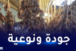 وزير التجارة: إنتاج 1.2 مليون طن سنويا من التمور.. نتطلع لتصديره إلى 150 بلدا