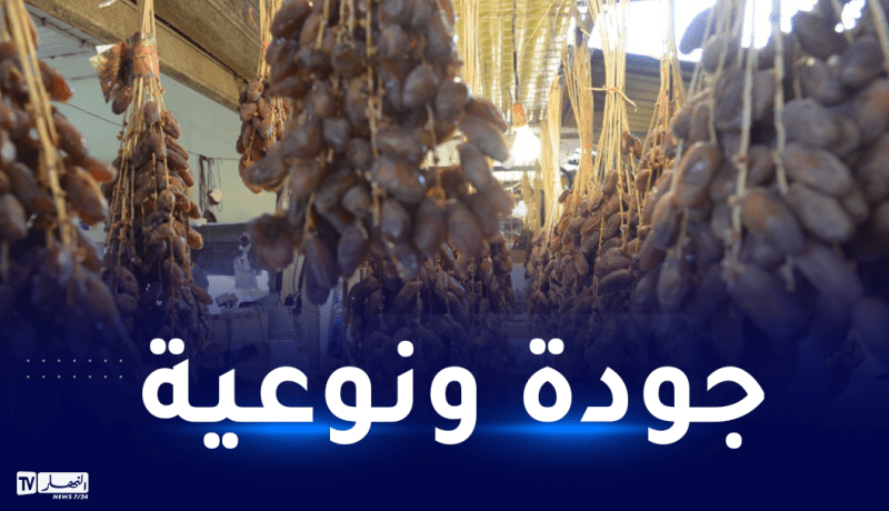 وزير التجارة: إنتاج 1.2 مليون طن سنويا من التمور.. نتطلع لتصديره إلى 150 بلدا