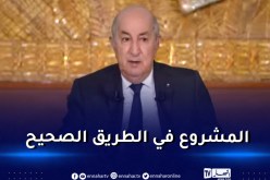 رئيس الجمهورية: “دراسة أنبوب الغاز الجزائري النيجيري انتهت.. وهناك تشويش على المشروع”