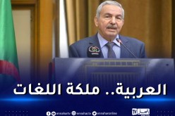 بلعيد: لا نهضة لأمة بلغة غير لغتها.. تطوير اللغة العربية لا يوكل للجهلة