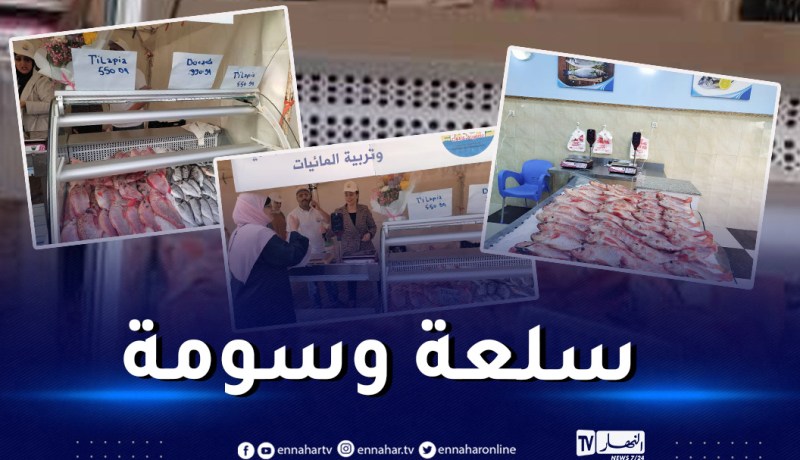أسماك بأسعار جد معقولة في العاصمة