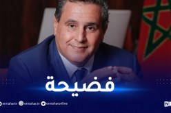 ورود المخرن في قضية فساد داخل البرلمان الأوروبي