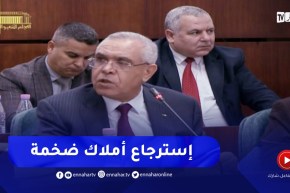 وزير العدل يكشف الأملاك العقّارية الضخمة التي تمّ إسترجاعها