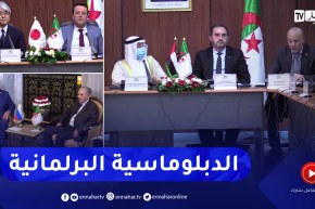 الدبلوماسية البرلمانية.. خطوات ثابتة في مسار دعم الدبلوماسية الجزائرية