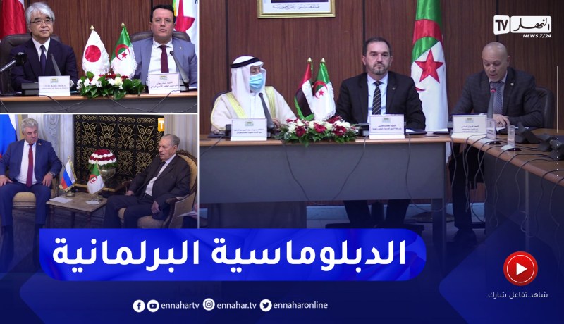 الدبلوماسية البرلمانية.. خطوات ثابتة في مسار دعم الدبلوماسية الجزائرية