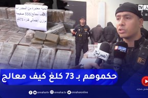 عنابة: فرقة البحث والتدخل تحجز 73 كلغ من القنب الهندي