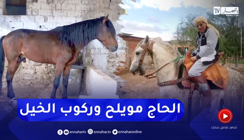 رغم تجاوزه الـ 80.. الحاج مويلح يمارس ركوب الخيل وترويضه