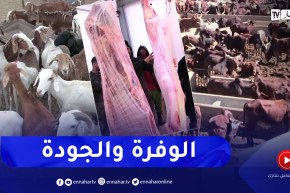 تموين ولايات الشمال باللحوم من الجنوب.. النهار تقف على واقع الأسعار والوفرة بتمنغست