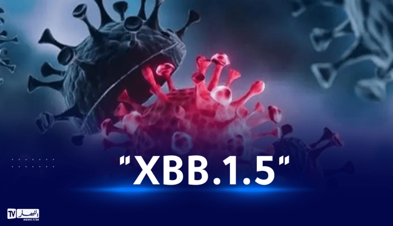 منظمة الصحة: متحور XBB1.5 قد يكون وراء ارتفاع إصابات كورونا