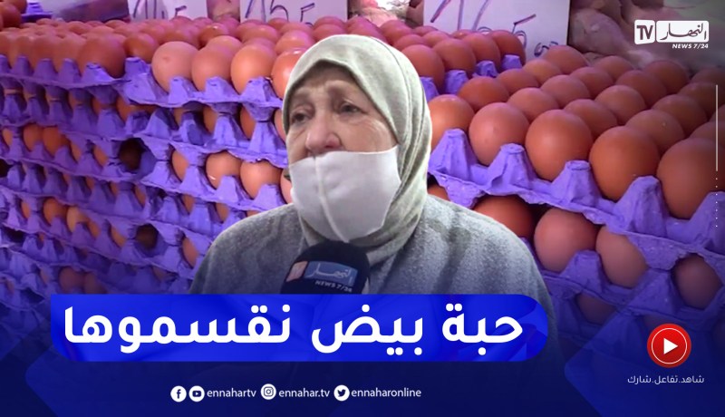 سعر البيض يقفز لـ 600 دج للصفيحة
