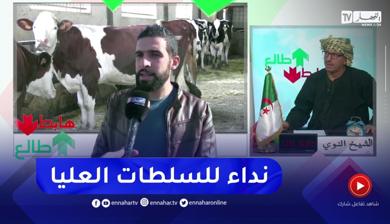 الشيخ النوي: شاب مستثمر من بجاية يستنجد بعد ما أصيبت أبقاره بالحمى القلاعية