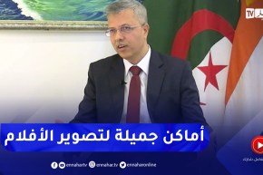 سفير الهند بالجزائر: العديد من شركات الأفلام الهندية تأتي إلى الجزائر لتصوير أفلامها