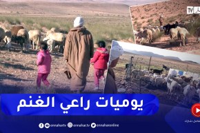 المسيلة: رغم الظروف المناخية الصعبة.. بشير شيخ يحافظ على نشاط رعي الأغنام