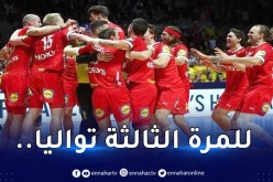 الدنمارك تهزم فرنسا وتُحقق مونديال كرة اليد