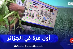 مجمع سيفيتال يطلق تجارب أولية لزراعة الشمندر السكري في الجزائر
