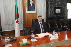 عرقاب: الجزائر لها إمكانات قوية لتكون موردا موثوقا للكهرباء من مصادر متجددة