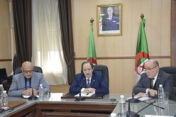 اجتماع 3 وزارات للوقوف على عملية طبع المصحف بتقنية البرايل