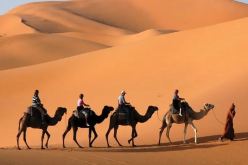 جديد منح التأشيرات السياحية للأجانب