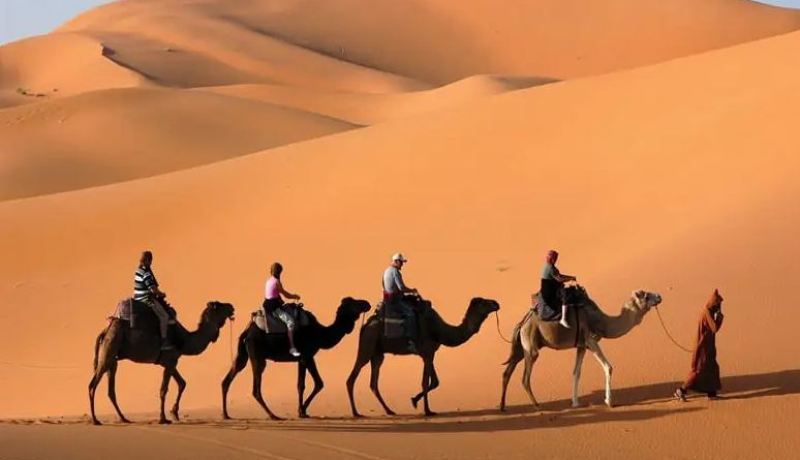 جديد منح التأشيرات السياحية للأجانب