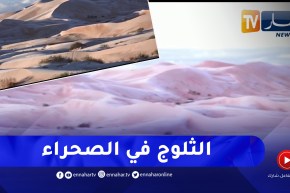 النعامة: مناظر رائعة.. الجليد يزين الرمال الذهبية بالعين الصفراء