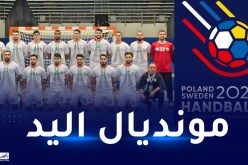 كرة اليد.. الناخب الوطني يكشف عن قائمة اللاعبين المشاركين في المونديال
