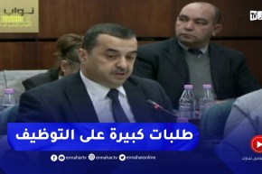 وزير الطاقة : مشاريع كبيرة ستنطلق بأرزيو وسكيكدة في مجال البيتروكيمياويات