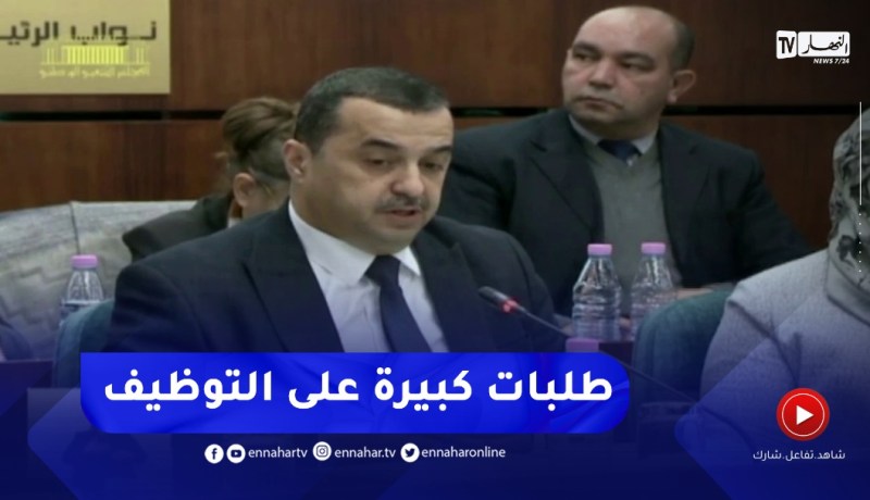 وزير الطاقة : مشاريع كبيرة ستنطلق بأرزيو وسكيكدة في مجال البيتروكيمياويات