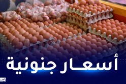 بعدما فاق سعر صفيحة البيض إلى 700 دج.. حملة لمقاطعة شرائه