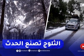 تساقط الثلوج يصنع الحدث😍😍جزائريون يوثّقون اللحظات في مختلف المناطق