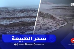 النعامة / لوحات فنية مميزة جمعت بين حجارة الجبال و نصاعة اللون الأبيض