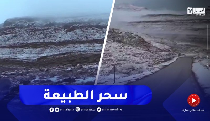 النعامة / لوحات فنية مميزة جمعت بين حجارة الجبال و نصاعة اللون الأبيض