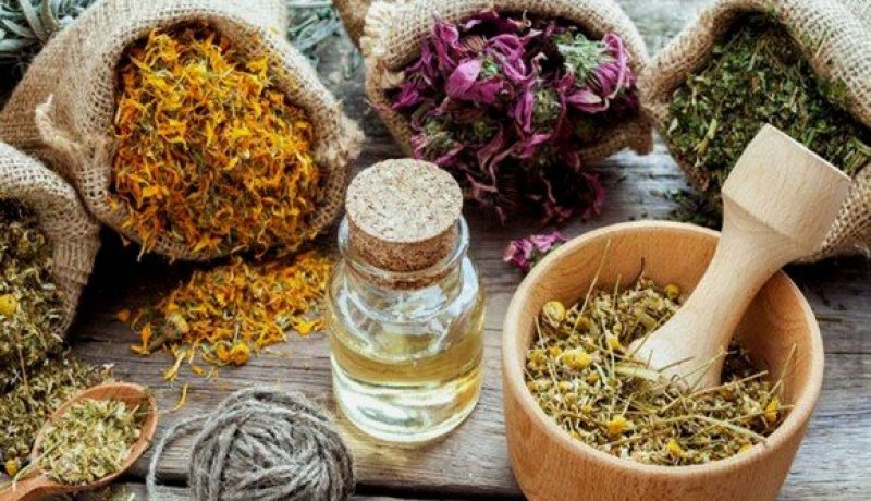 الإعتماد على الأعشاب لعلاج ومحاربة موجة كورونا الجديدة