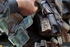 بالفيديو.. لبناني يعثر على كنز داخل شجرة!